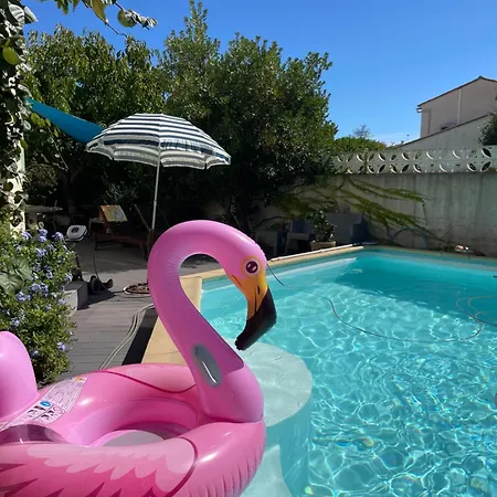D'hote Dans Du Soleil Lattes